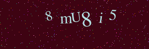 Validation image